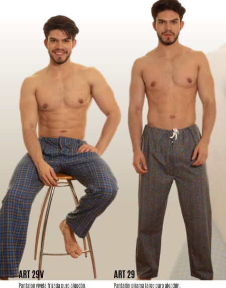 articulo29y29V_paytity